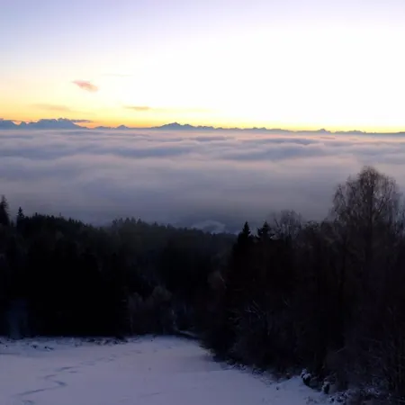 Fernblick Apartament